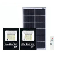 Set 2 proiectoare LED SMD 30W cu incarcare solara, panou solar, cu telecomanda, suport prindere, material ABS, 1.2AH, 200LED-uri, 13x13.5 cm, negru